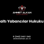 Döşemealtı Yabancılar Hukuku Avukatı
