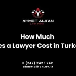 How much does a lawyer cost in Turkey