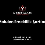 malulen emeklilik şartları noktasında karşılaması gereken koşulları karşılamış ve malullük aylığına hak kazanmış olacaktır