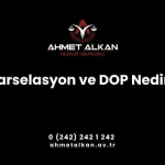 Parselasyon Nedir, İdare Tarafından Parselasyon Yapılan Haller Nelerdir