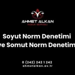 Soyut norm denetimi somut norm denetimi ve bireysel başvuru yolu ile Anayasa yargısı uygulanmaktadır