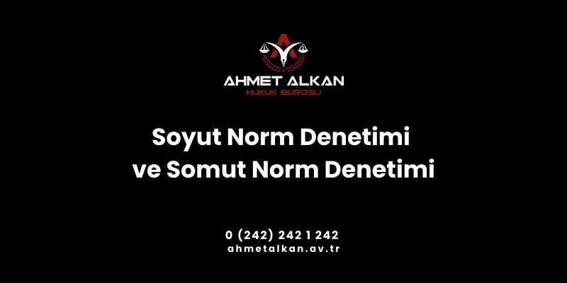 Soyut norm denetimi somut norm denetimi ve bireysel başvuru yolu ile Anayasa yargısı uygulanmaktadır