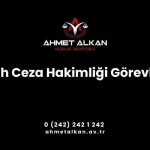 Sulh ceza hakimliği, her il merkezi ile bölgelerin coğrafi durumları ve iş yoğunluğu göz önünde tutularak belirlenen ilçelerde Hâkimler ve Savcılar Yüksek Kurulunun olumlu görüşü alınarak Adalet Bakanlığınca kurulur