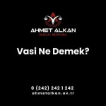 Vesayet altına alınma çeşitli sebeplerle olabilir Vesayet altına alınacak kişiye mahkemece vasi tayin edilmesi gerekir
