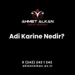 adi karine nedir