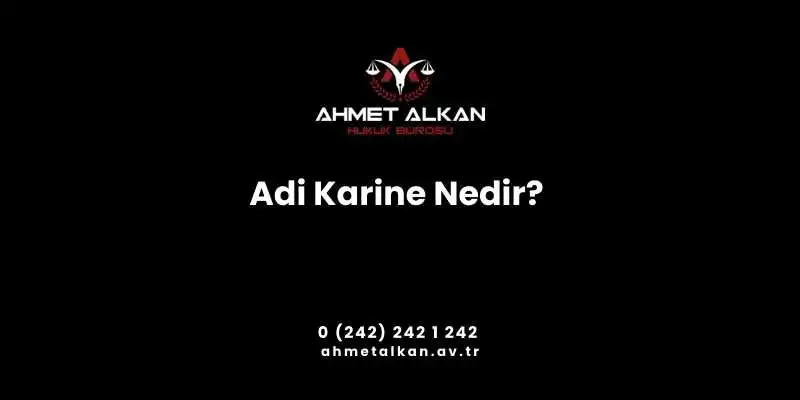 adi karine nedir