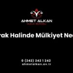 İştirak Halinde Mülkiyet Nedir