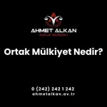 Ortak Mülkiyet Ne Demek
