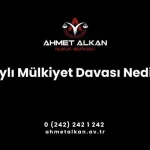 Paylı Mülkiyet Davası Nedir