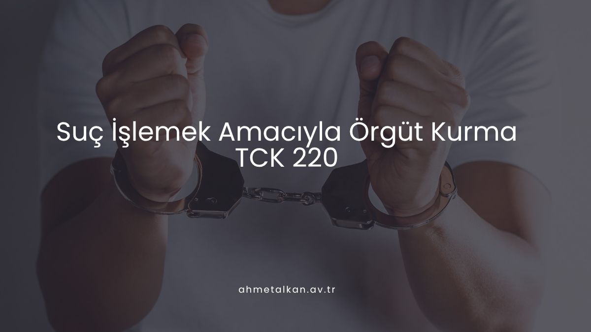 Suç İşlemek Amacıyla Örgüt Kurma - TCK 220