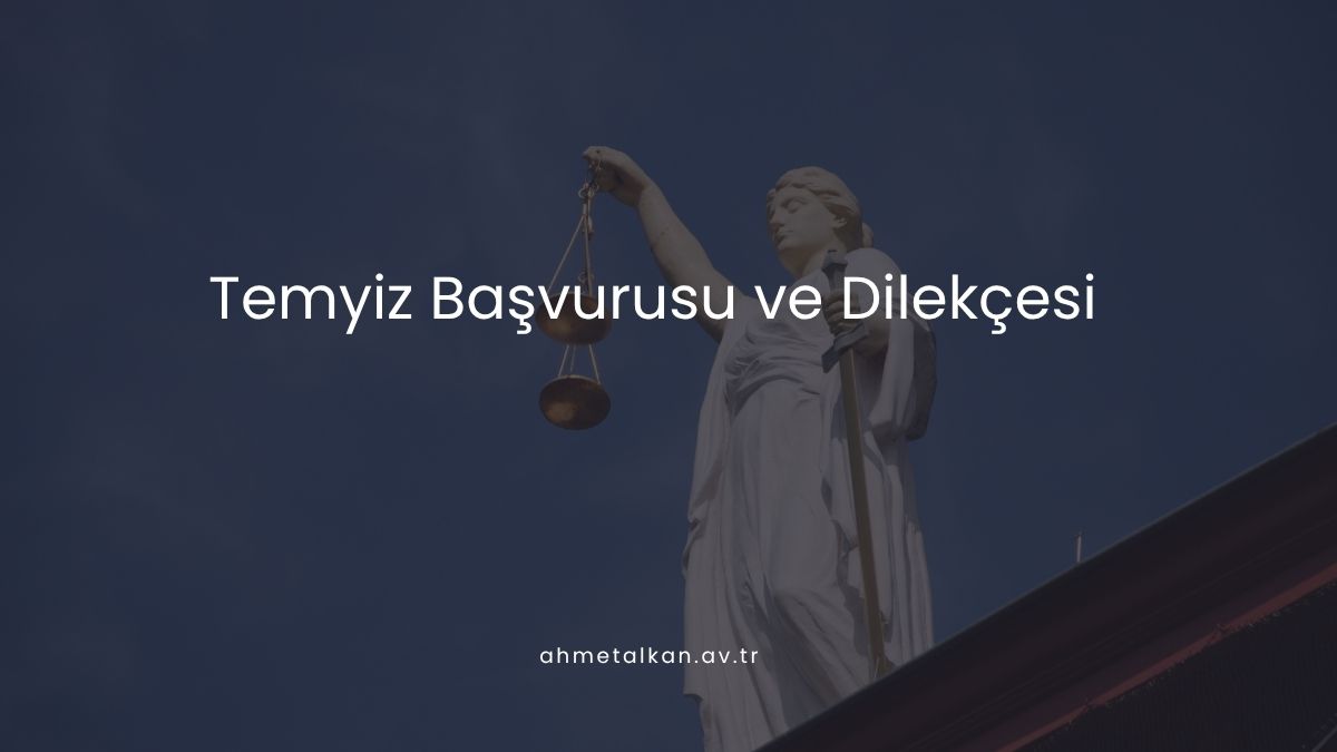Temyiz Başvurusu ve Dilekçesi